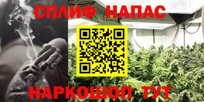 ешки Шелехов