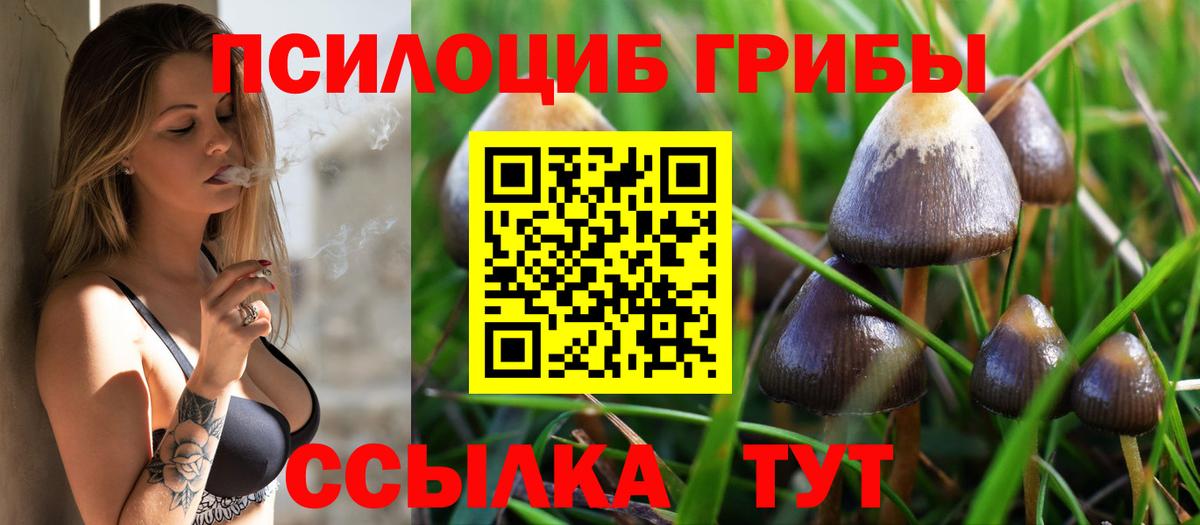 наркота  Псилоцибиновые грибы Magic Shrooms  Вход с VPN  Анжеро-Судженск 